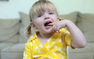 超萌爆料视频大全,萌宠瞬间，笑料横生